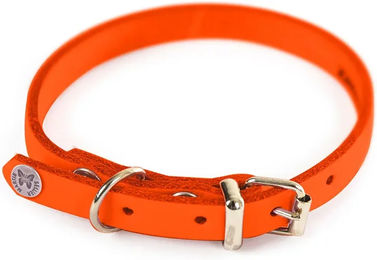 Martin Sellier Hundehalsband aus Leder Anis 31-62 cm – Bild 1 von 2