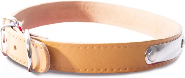 Martin Sellier Hundehalsband aus Leder in Natur Beige mit Latz – Bild 1 von 2