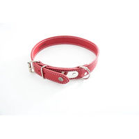 Produktbild von Martin Sellier Hundehalsband aus Leder mit Steppnähten und Platte in Rot/Gold 22-47 cm
