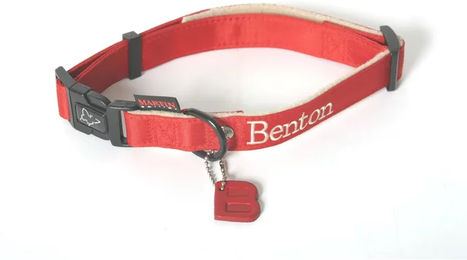 Produktbild von Martin Sellier Hundehalsband Benton aus Leder in Rot Größe L