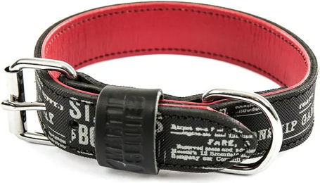 Produktbild von Martin Sellier Hundehalsband Boston aus Leder in Schwarz 10/30 cm