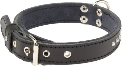 Produktbild von Martin Sellier Hundehalsband Class aus Leder Schwarz Größe L