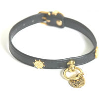 Produktbild von Martin Sellier Hundehalsband Deco aus Leder in Schwarz und Gold