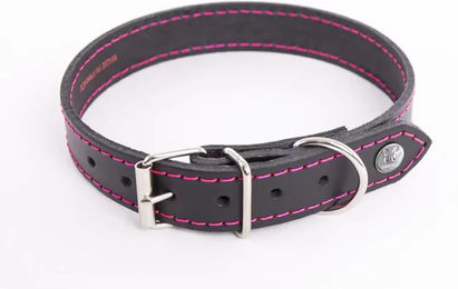 Produktbild von Martin Sellier Hundehalsband Flash aus Leder Schwarz 35 cm