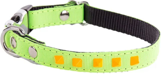 Produktbild von Martin Sellier Hundehalsband Fluo Grün 15/23-33 cm