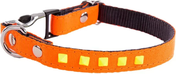 Produktbild von Martin Sellier Hundehalsband Fluo Orange Gurtband 10/17-27 cm