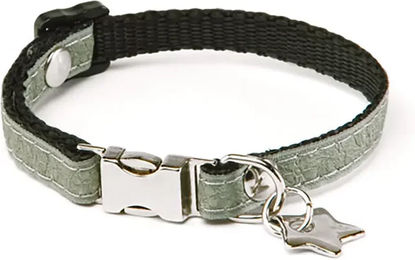 Produktbild von Martin Sellier Hundehalsband für Welpen Mini aus Kunstleder XS in Grün oder Grau