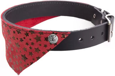 Produktbild von Martin Sellier Hundehalsband Miami aus Leder 35 cm
