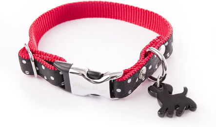 Martin Sellier Hundehalsband mit Punkten Schwarz Bicolore Größe S – Bild 1 von 2