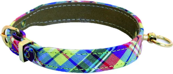 Produktbild von Martin Sellier Hundehalsband Terrier Benton bunt aus Stoff