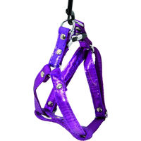 Produktbild von Martin Sellier Hundeharnisch Disco S 15-35/45 Violett