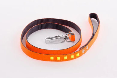 Produktbild von Martin Sellier Hundeleine aus fluoreszierendem Gurtband in Orange