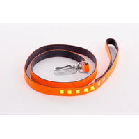 Produktbild von Martin Sellier Hundeleine aus fluoreszierendem Gurtband in Orange
