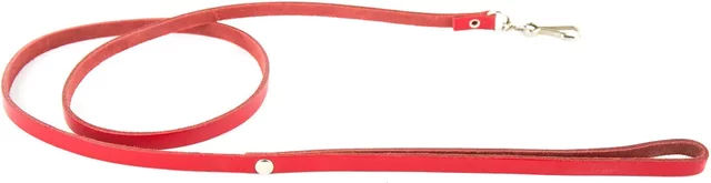 Produktbild von Martin Sellier Hundeleine aus Leder in Rot 16 cm