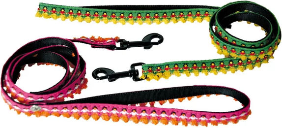 Produktbild von Martin Sellier Hundeleine aus Nylon Dancing Queen XS Bunt Grün