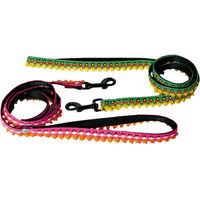 Produktbild von Martin Sellier Hundeleine aus Nylon Dancing Queen XS Bunt Grün