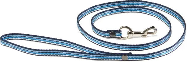 Produktbild von Martin Sellier Hundeleine aus Nylon in Blau