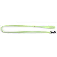 Produktbild von Martin Sellier Hundeleine aus Nylon in Grün 120 cm