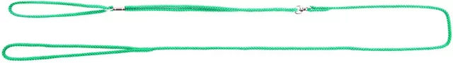 Martin Sellier Hundeleine aus Nylon in Grün 120 cm – Bild 1 von 1