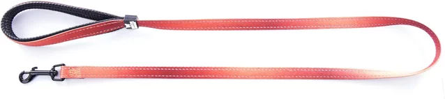 Martin Sellier Hundeleine aus Nylon in Rot für kleine und mittlere Hunde Größe S – Bild 1 von 2