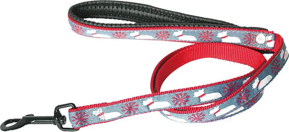 Produktbild von Martin Sellier Hundeleine aus Nylon Scott Snow