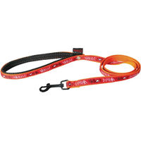 Produktbild von Martin Sellier Hundeleine aus Nylon wasserabweisend in Orange Rot