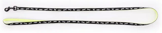Martin Sellier Hundeleine Cat Bico aus Nylon in Schwarz 120 cm – Bild 1 von 1
