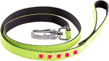 Produktbild von Martin Sellier Hundeleine Gelb Gurtband 15m
