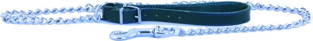 Produktbild von Martin Sellier Hundeleine mit Kette aus Metall in Grün 3 mm