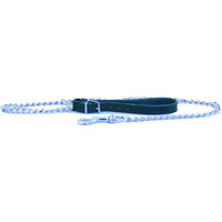 Produktbild von Martin Sellier Hundeleine mit Kette aus Metall in Grün 3 mm