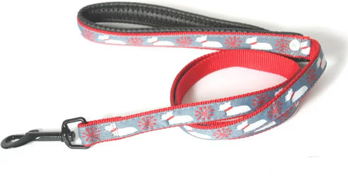 Produktbild von Martin Sellier Hundeleine Scott aus Nylon 160 cm