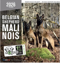 Produktbild von Martin Sellier Kalender Berger Malinois