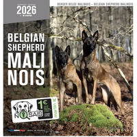 Produktbild von Martin Sellier Kalender Berger Malinois