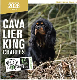 Produktbild von Martin Sellier Kalender Cavalier King Charles Spaniel