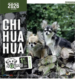 Produktbild von Martin Sellier Kalender Chihuahua Mini