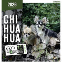 Produktbild von Martin Sellier Kalender Chihuahua Mini