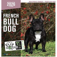 Produktbild von Martin Sellier Kalender Französische Bulldogge