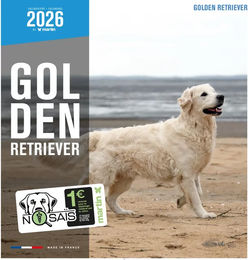 Produktbild von Martin Sellier Kalender Golden Retriever