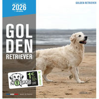 Produktbild von Martin Sellier Kalender Golden Retriever