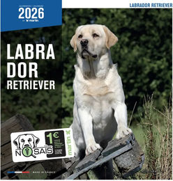 Produktbild von Martin Sellier Kalender Labrador