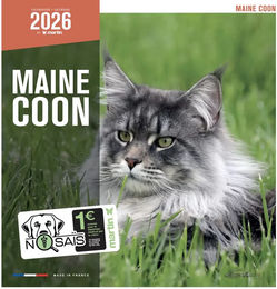 Produktbild von Martin Sellier Kalender Maine Coon