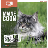 Produktbild von Martin Sellier Kalender Maine Coon