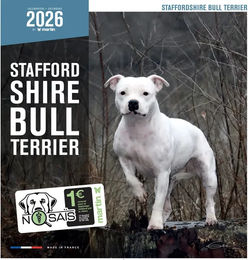 Produktbild von Martin Sellier Kalender Staffordshire Bull Terrier