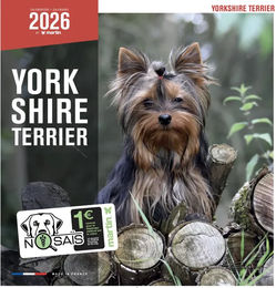 Produktbild von Martin Sellier Kalender Yorkshire Terrier