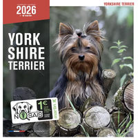 Produktbild von Martin Sellier Kalender Yorkshire Terrier