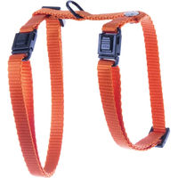 Produktbild von Martin Sellier Katzengeschirr Classic Nylon für Kitten Orange 10-35/50cm