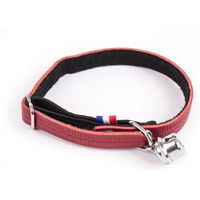 Produktbild von Martin Sellier Katzenhalsband Farandole