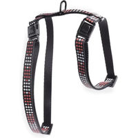 Produktbild von Martin Sellier Katzenharness aus Nylon