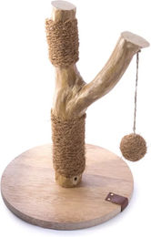 Produktbild von Martin Sellier Kratzbaum Cafeier chaton für Katzen und Kitten aus Naturholz in Beige