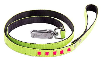 Produktbild von Martin Sellier Looplijn für Katzen aus Nylon in Gelb 100 cm